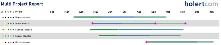 multi-project-report