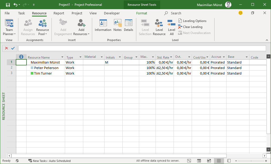The Resource Sheet view in MS Project