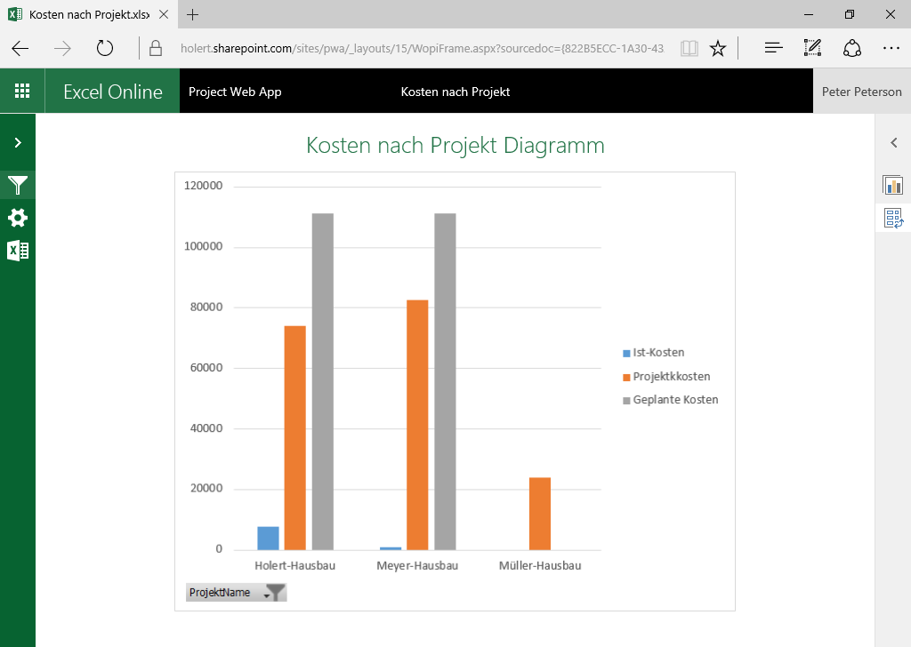 Project Server Portfoliomanagement