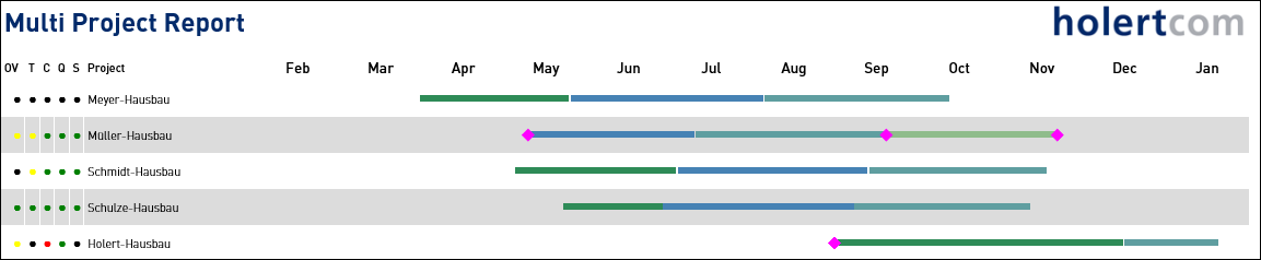 Multi Project Report